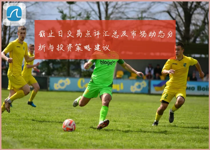 截止日交易点评汇总及市场动态分析与投资策略建议